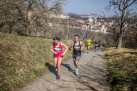 Na změněné trati nezměněný vítěz: Trail Praha vyhrál Fejfar Na změněné trati nezměněný vítěz: Trail Praha vyhrál Fejfar