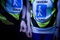 Roj Světlušek rozsvítil Stromovku Roj Světlušek rozsvítil Stromovku
