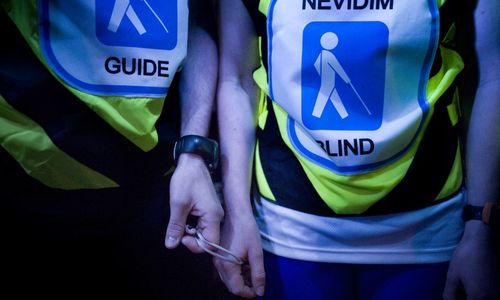 Roj Světlušek rozsvítil Stromovku Roj Světlušek rozsvítil Stromovku