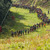 Podzimní barevnou galerii nabídl půlmaraton v Českém lese
