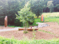 Ríšova studánka v Podkomorských lesích u Brna
