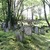 Kolín: starý židovský hřbitov