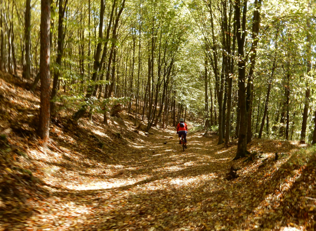 Prvních zimních 70 km na kole z Rakovníka do Prahy