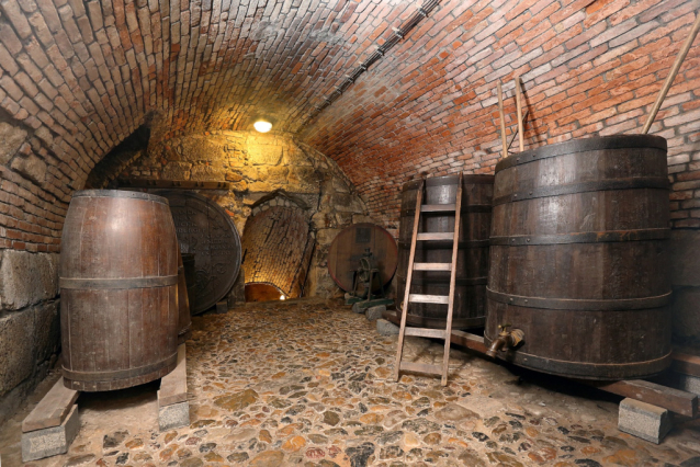 Plzeň: pivo, gotika, řeky, technika, architektura