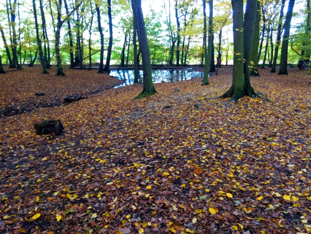 Drahanská rokle na koloběžce