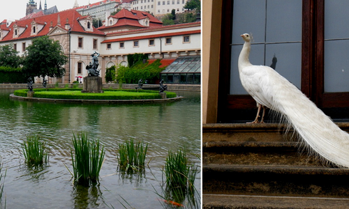Valdštejnská zahrada českého naboba Valdštejnská zahrada českého naboba