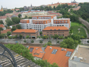 Pražské vinice: 19 vinic o víkendu