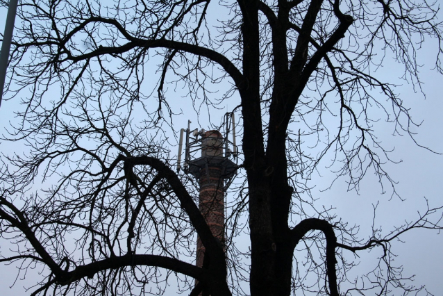 Výlet do třešňovky nad Botičem