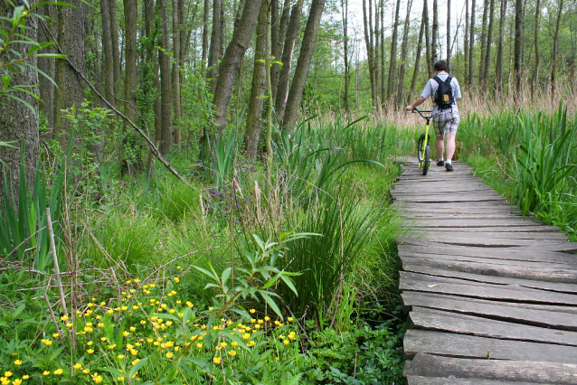 Trojmezí neboli přírodní park Hostivař - Záběhlice na Botiči