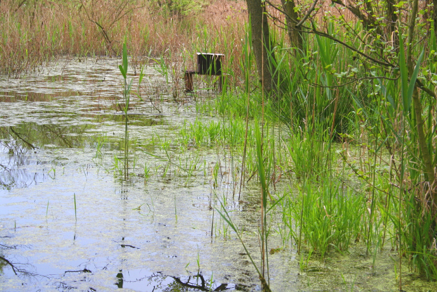 Trojmezí neboli přírodní park Hostivař - Záběhlice na Botiči