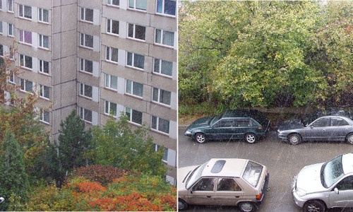 Brzký první sníh v Praze 2009 Brzký první sníh v Praze 2009
