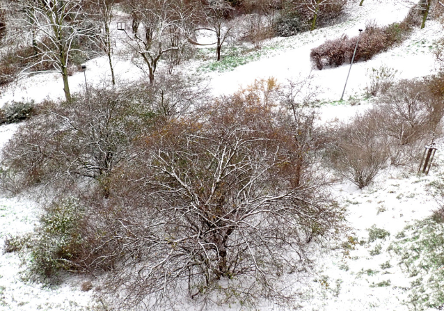 První sníh v Praze 2025