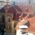 Prague City of Mystery Prague City of Mystery