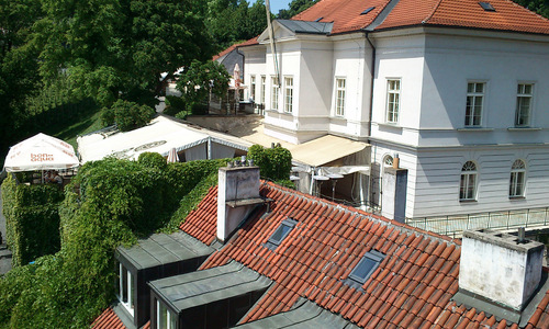 Svátek růžových vín a Svátek růžových vín a