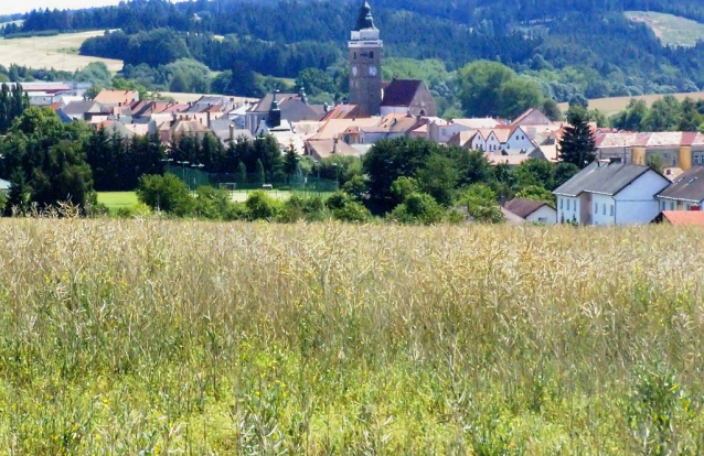 Slavonice z výšky 35 metrů