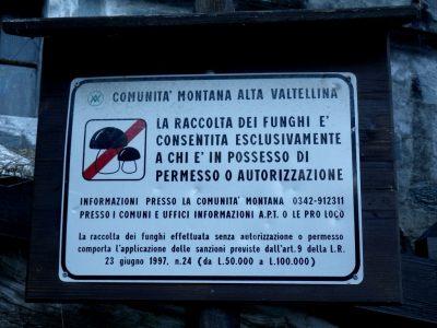 Alta Valtellina reguluje houbaře. Není to moc drastické