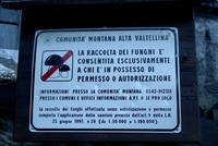 Alta Valtellina reguluje houbaře. Není to moc drastické