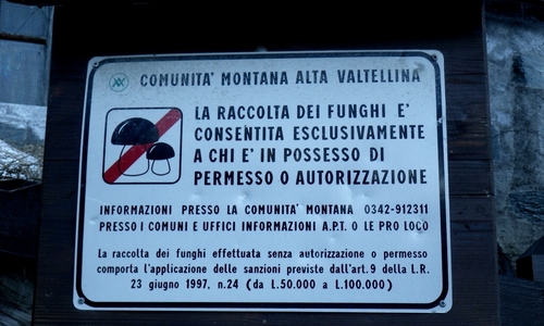 Alta Valtellina reguluje houbaře. Není to moc drastické Alta Valtellina reguluje houbaře. Není to moc drastické