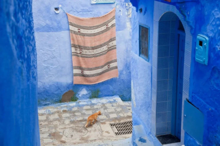 Day Trip to Chefchaouen from Fes