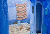 Day Trip to Chefchaouen from Fes Day Trip to Chefchaouen from Fes