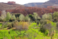 Explore Morocco: 10-Day Adventure from Casablanca