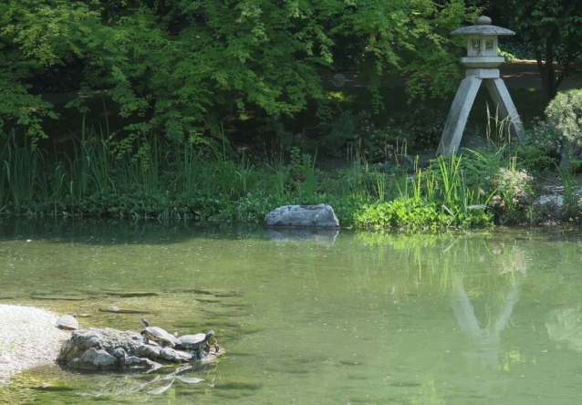 Setagayapark: malý kousek Tokia ve Vídni