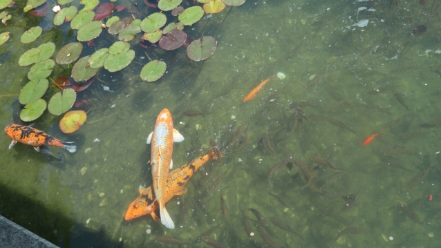 Setagayapark: malý kousek Tokia ve Vídni