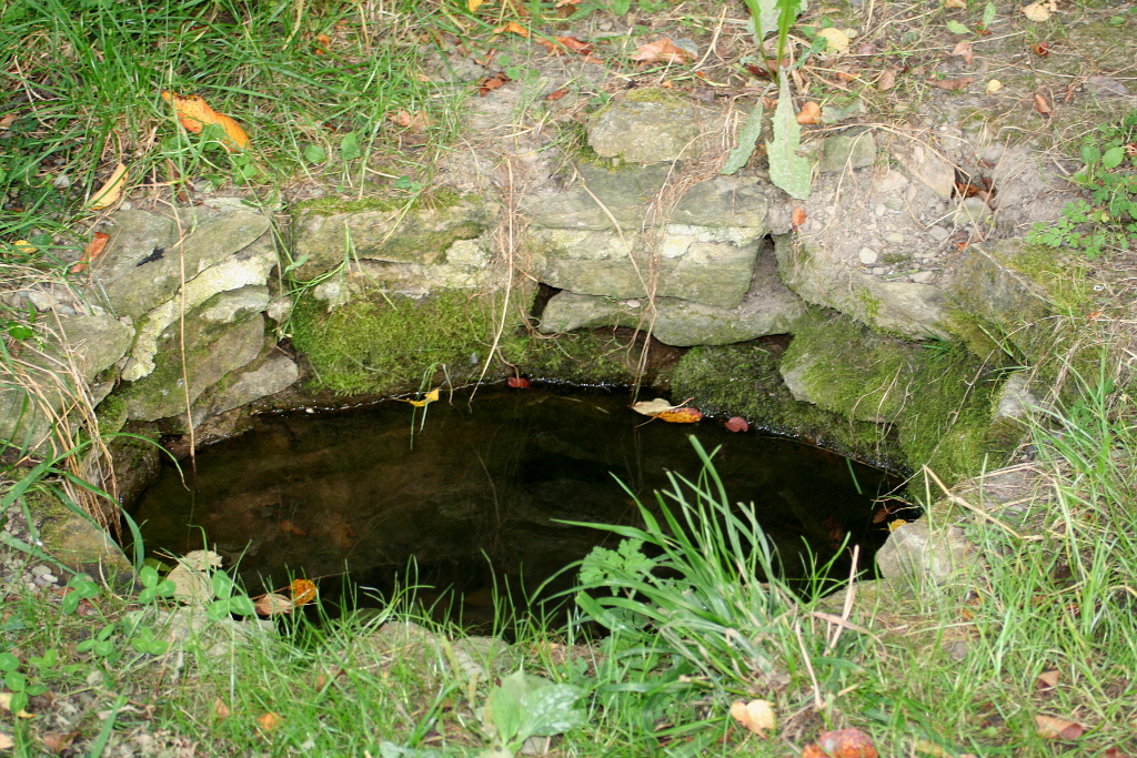 Skanzen Svidník. Studánka v areálu.