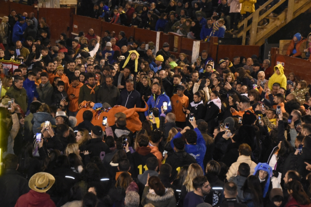 Ciudad Rodrigo celebrates a centenary festival with bull runs, capeas and bullfights
