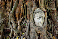 Thajsko se znovu otevírá turistům z celého světa Thajsko se znovu otevírá turistům z celého světa