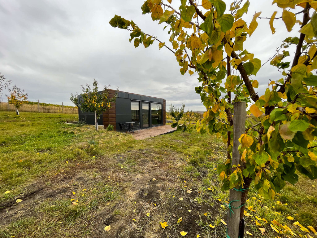 Glamping mezi meruňkami.