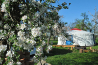 Glamping: luxus v přírodě