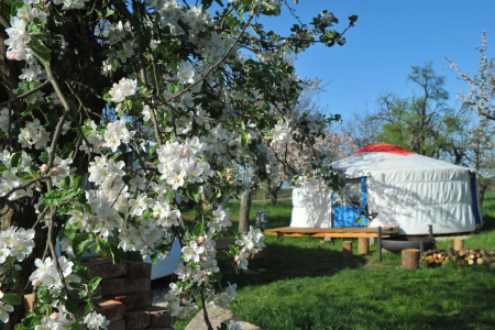 Glamping: luxus v přírodě