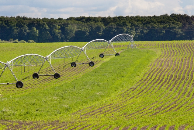 Agroturistika na farmě Choťovice