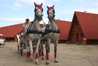 Slovensko AKTUÁLNĚ 2021 Slovensko AKTUÁLNĚ 2021