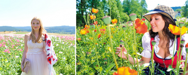 A small village called Mohndorf-Armschlag and its own special flower