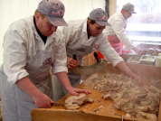 Pravá zabijačka u právnické fakulty