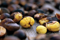 Nejzajímavější podzimní tipy z Jižního Tyrolska Nejzajímavější podzimní tipy z Jižního Tyrolska