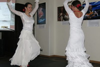 Co je moderní flamenco? Co je moderní flamenco?