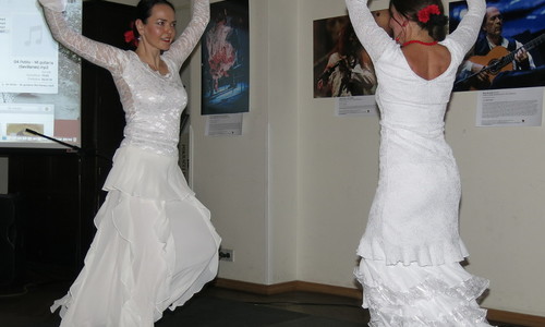 Co je moderní flamenco? Co je moderní flamenco?
