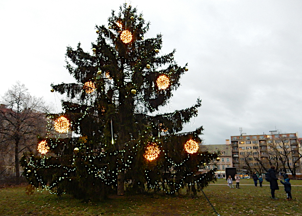 Vánoční strom na Karlínském náměstí v Praze.