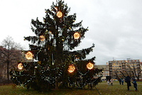 Vánoční stromy v Praze: kde a kdy se rozsvítí? Vánoční stromy v Praze: kde a kdy se rozsvítí?