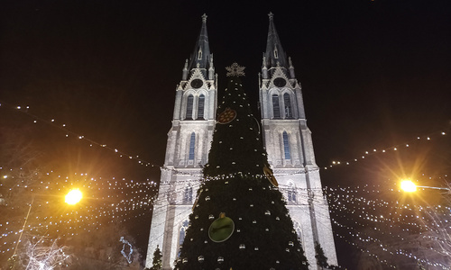 Vánoční trhy na Náměstí Míru v Praze Vánoční trhy na Náměstí Míru v Praze