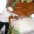 December for foodies: cookies, stollen cake and roast goose December for foodies: cookies, stollen cake and roast goose