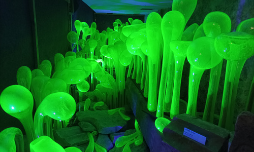 Nové národní kulturní památky: radnice, pomník, zámek, tramvaje Nové národní kulturní památky: radnice, pomník, zámek, tramvaje