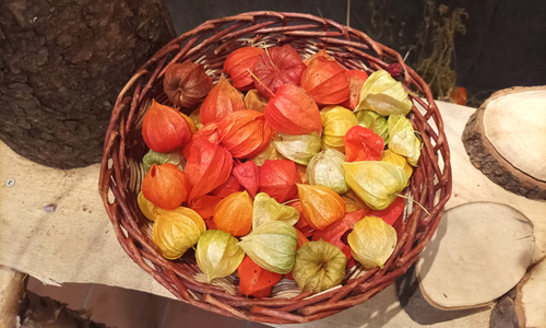 Skleněné Vánoce v podzemí Betlémské kaple Skleněné Vánoce v podzemí Betlémské kaple