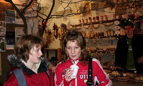 Vánoční výstavy v plném proudu Vánoční výstavy v plném proudu