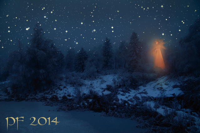 PF 2014: Dobrý nový rok!