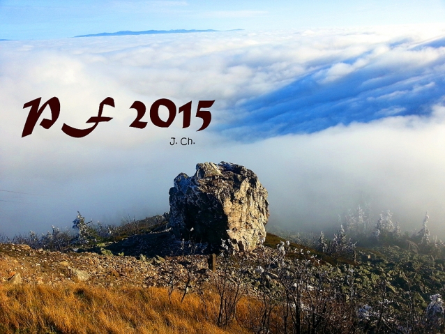 PF 2015! Šťastný nový rok