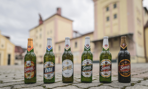 České Budějovice: 28. září patří svatému Václavu a pivu Samson České Budějovice: 28. září patří svatému Václavu a pivu Samson